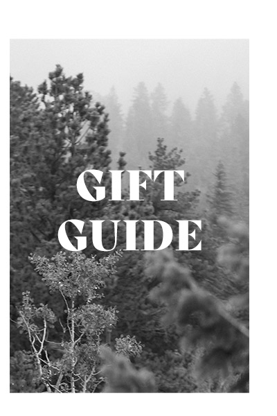 Shop the Gift Guide